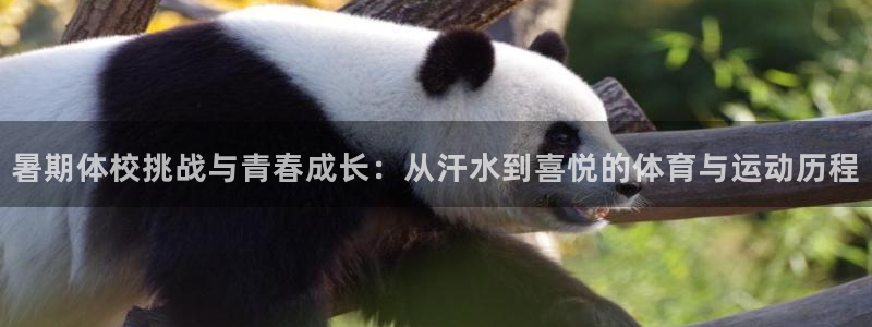 熊猫体育手机版下载