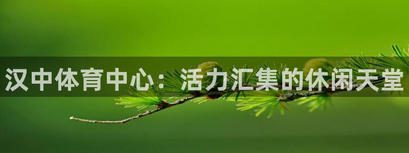 熊猫体育在线：汉中体育中心：活力汇集的休闲天堂