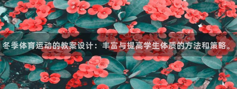 熊猫体育官网首页入口：冬季体育运动的教案设计：丰富与提高学生体质的方法和策略。