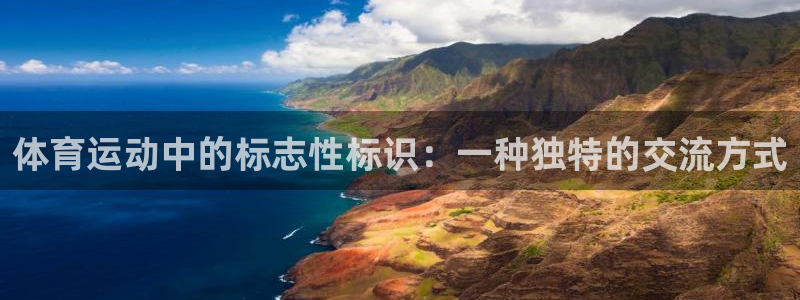 熊猫体育网址：体育运动中的标志性标识：一种独特的交流方式