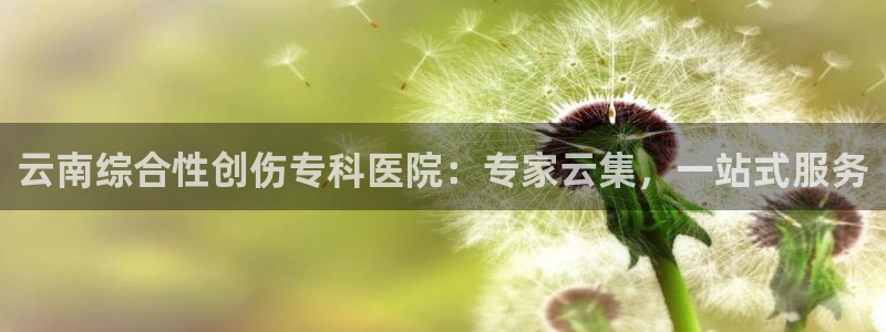 熊猫体育直播nba：云南综合性创伤专科医院：专家云集，一站式服务
