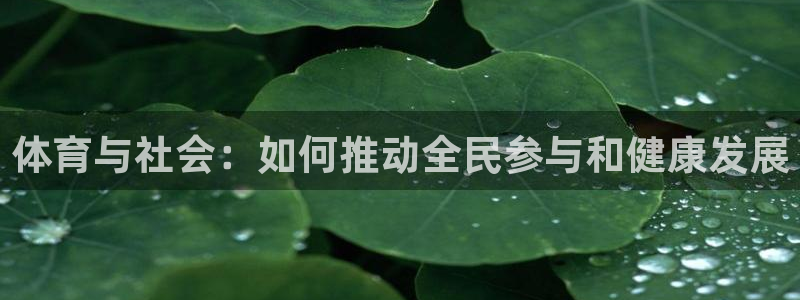 熊猫体育在线：体育与社会：如何推动全民参与和健康发展