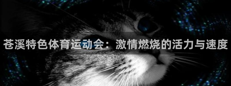 熊猫体育平台：苍溪特色体育运动会：激情燃烧的活力与速度